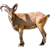 Steinbock